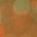 Bokeh-442